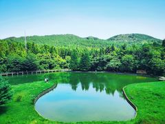 -武陵山森林公园