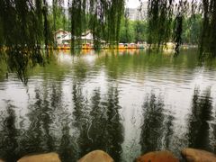 -莲湖公园