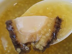 -苏启渔港(云南北路店)