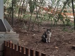 -沈阳植物园
