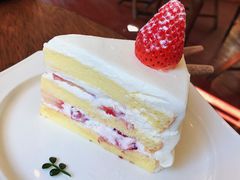 -春风十里咖啡馆