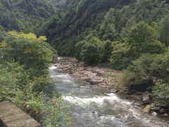 -黎坪国家森林公园