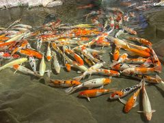 -海合安青岛极地海洋公园