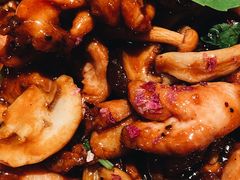 三杯蘑菇鸡-中8楼风尚云南菜(颐堤港店)
