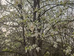 -梁鸿国家湿地公园