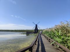 -宁波杭州湾国家湿地公园