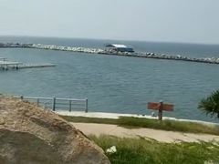 -放鸡岛生态旅游国际度假区