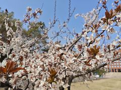 -浙江大学(舟山校区)