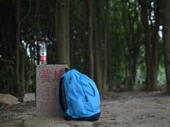 -黄埔油麻山森林公园