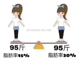 -Lily纤美·科技减脂中心