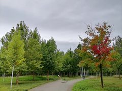 -东郊湿地公园