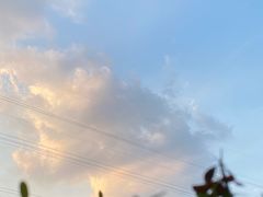 -江川野生菌火锅铜锅鱼(贵清火锅店)