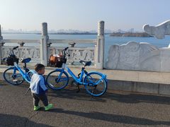 -东湖落雁景区