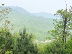 -燕子河大峡谷天坑仙境