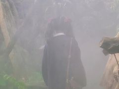 -南通洲际绿博园