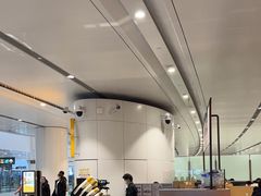 -麦当劳(北京大兴机场二层国内到达(安检外)店)