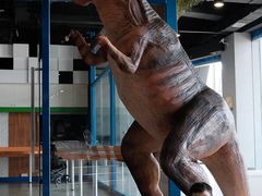 -辽宁古生物博物馆