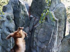 -石燕湖生态旅游景区