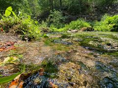 -玉渡山自然风景区