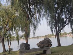 -上海月湖雕塑公园