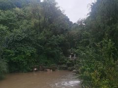 -黔灵山公园