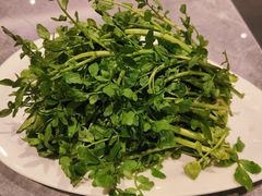 -张凯达·深海石斑鱼潮汕火锅(十五年品牌•虹桥天街店)
