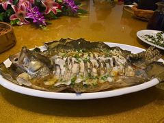 -呼吸森林·生态农庄农家乐私房菜