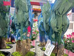 -山姆会员商店(上海浦东店)
