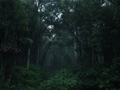 -午潮山国家森林公园
