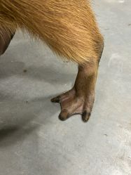 -Zoolung Zoolung动物主题公园(海信广场店)