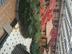 android_upload_pic-老山东·山东菜(鲁菜名店)