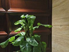 -洛阳宴·洛阳菜(南昌路店)