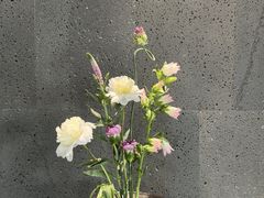 -帝京日语(春熙路旗舰校区)