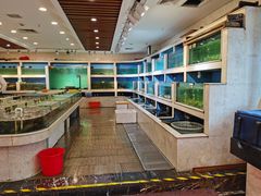 水产区-同君福大酒楼(紫新路店)