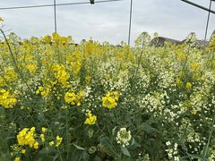 -中国天府农业博览园