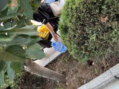 -蓬莱欧乐堡梦幻世界