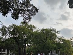 -荔湾湖公园