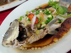 -先鲜鲫鱼粥