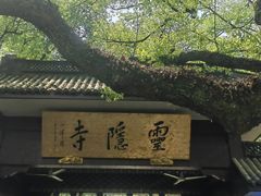 -杭州武林万怡酒店