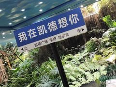 -凯德广场(学府店)