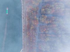 -水墨汀溪风景区
