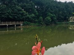 -铁山坪森林公园