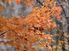 -崂山九水游览区