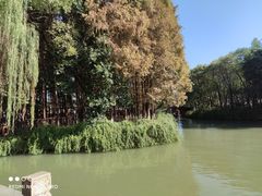 -乌镇东栅景区