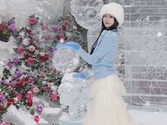 -洛阳白云山景区