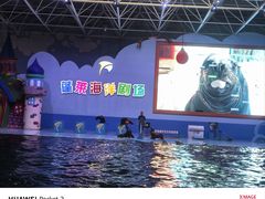 -蓬莱欧乐堡海洋极地世界