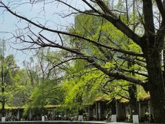 -四川大学(华西校区)