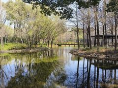 -尚贤河湿地