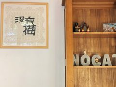 -No Cat 手碟