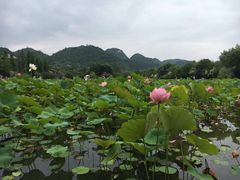 -贵阳市花溪国家城市湿地公园